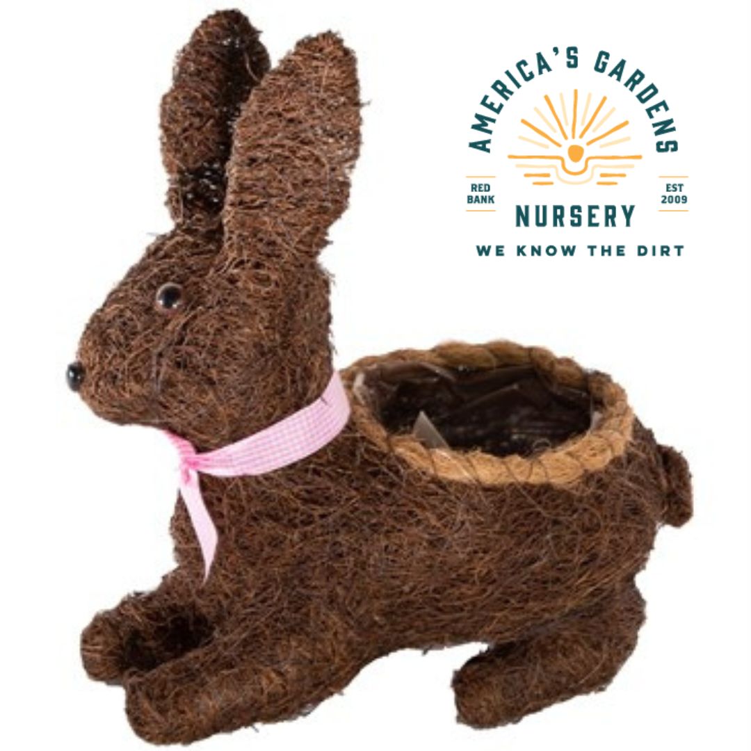 Straw Topiary Rabbit - America's Gardens Nursery