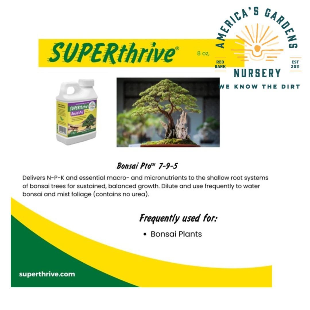 Super Thrive Bonsia Pro Plant Food - America's Gardens Nursery