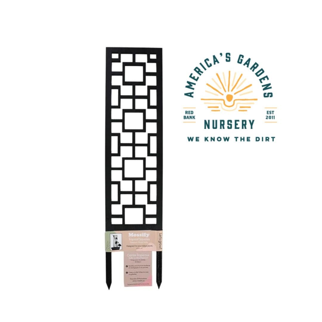 Tropical Square Trellis - America's Gardens Nursery
