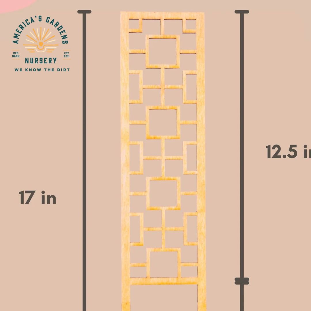 Tropical Square Trellis - America's Gardens Nursery
