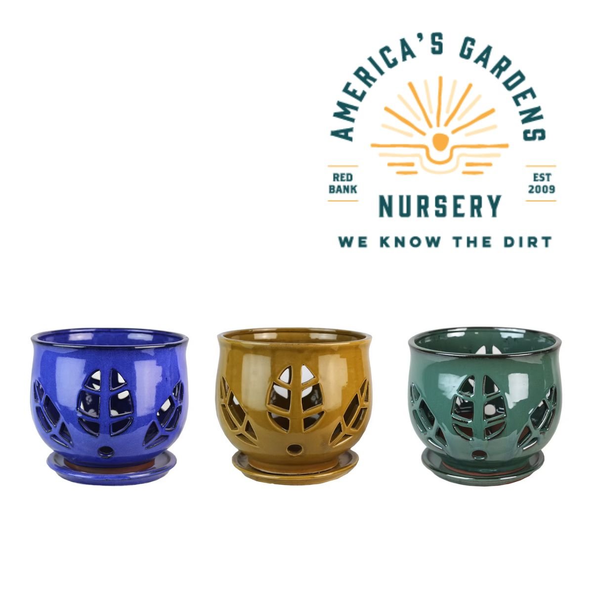 Tulip Leaf Orchid Pots - America's Gardens Nursery