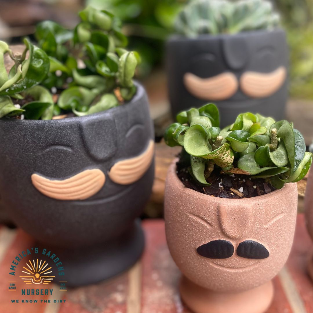 Twain Mustache Cachepot Ceramic Pots - America's Gardens Nursery