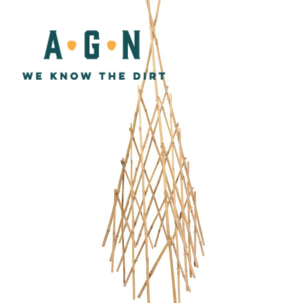 Bamboo Teepee Trellis' America's Gardens Nursery