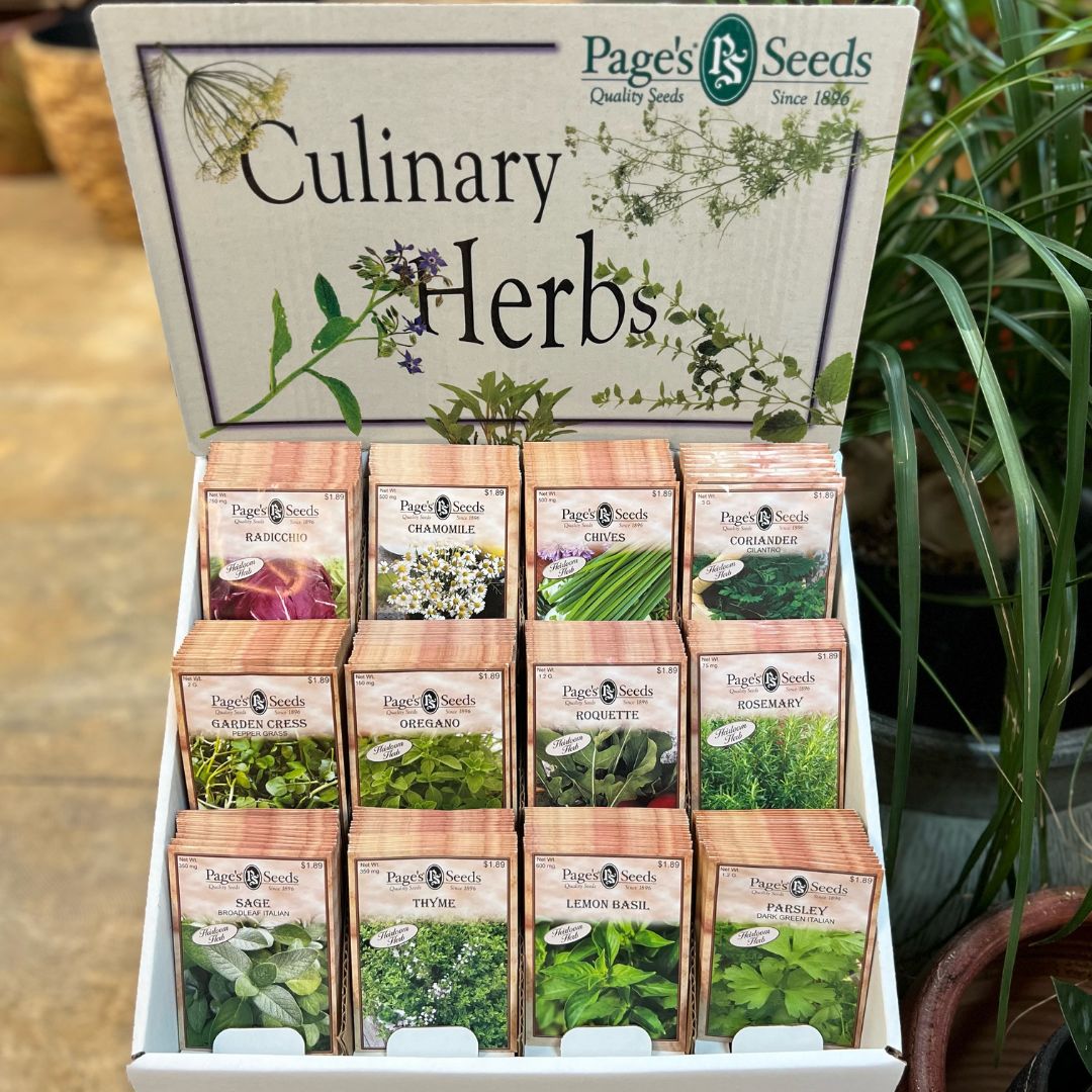 Plant Seeds - Culinary Herbs