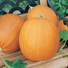Pumpkins, Grown
