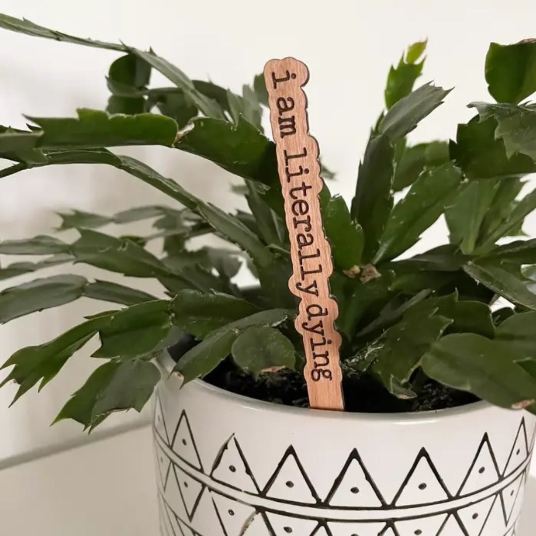 Punny Plant Stakes