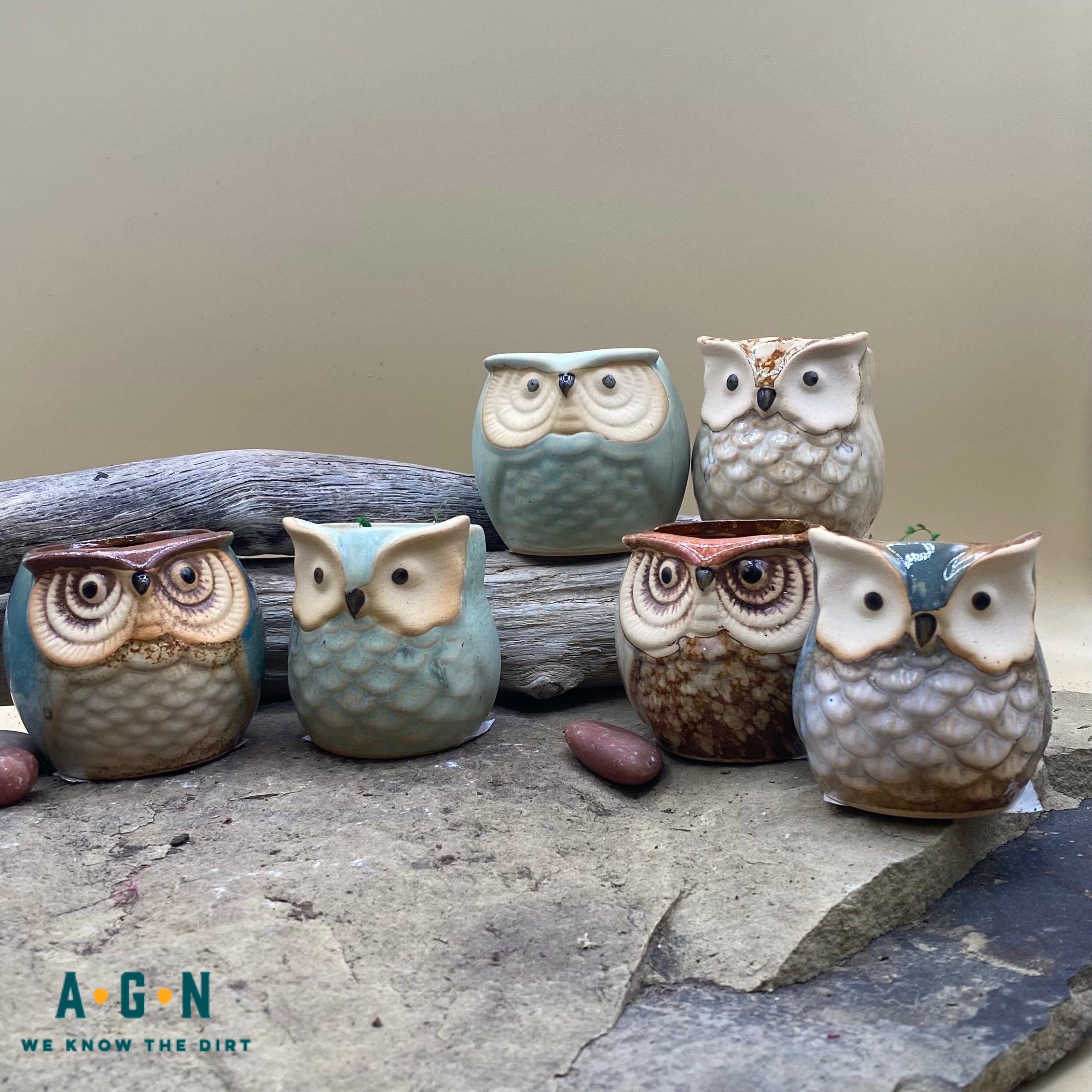 Ceramic Owl pots