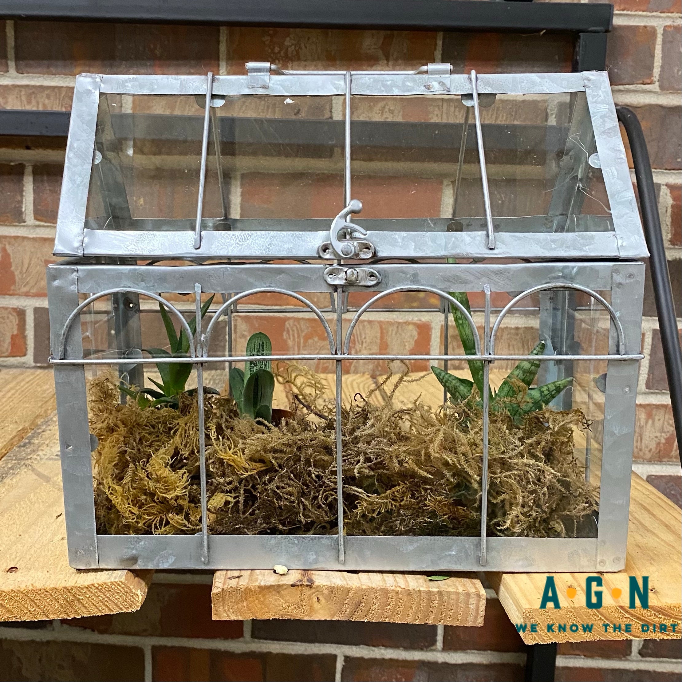 GREENHOUSE GALVGLASS MD