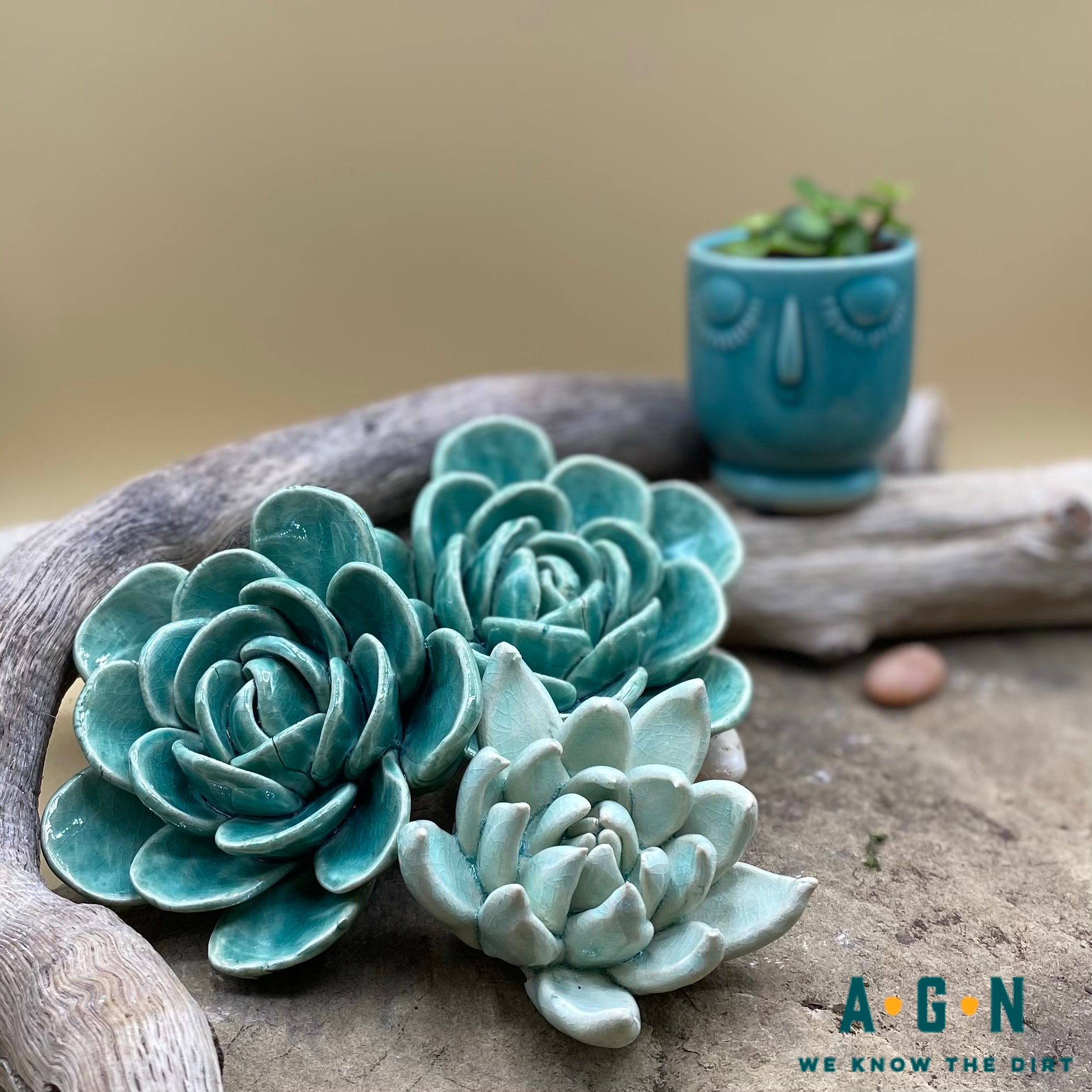 Medium Ceramic Succulent