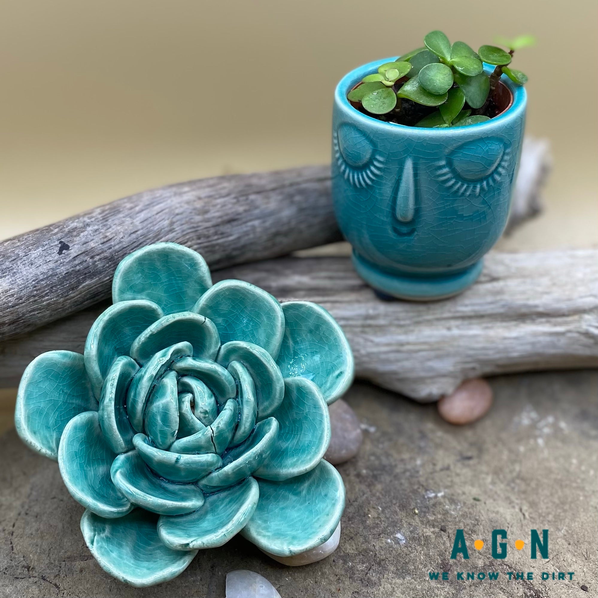 Medium Ceramic Succulent
