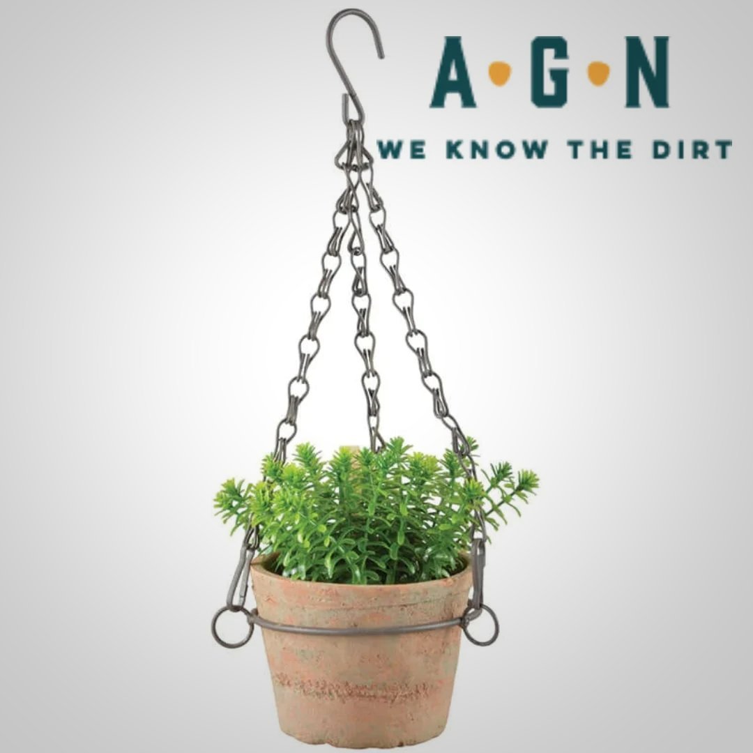 Aged Terracotta Hanging Flower Pot - Small - America's Gardens Nursery