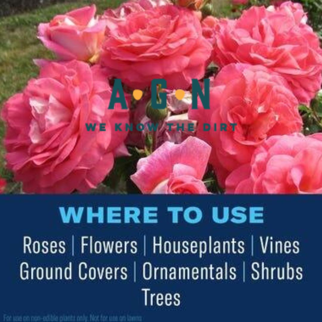 BioAdv 3 N 1 Insect, Disease & Mite Control - America's Gardens Nursery