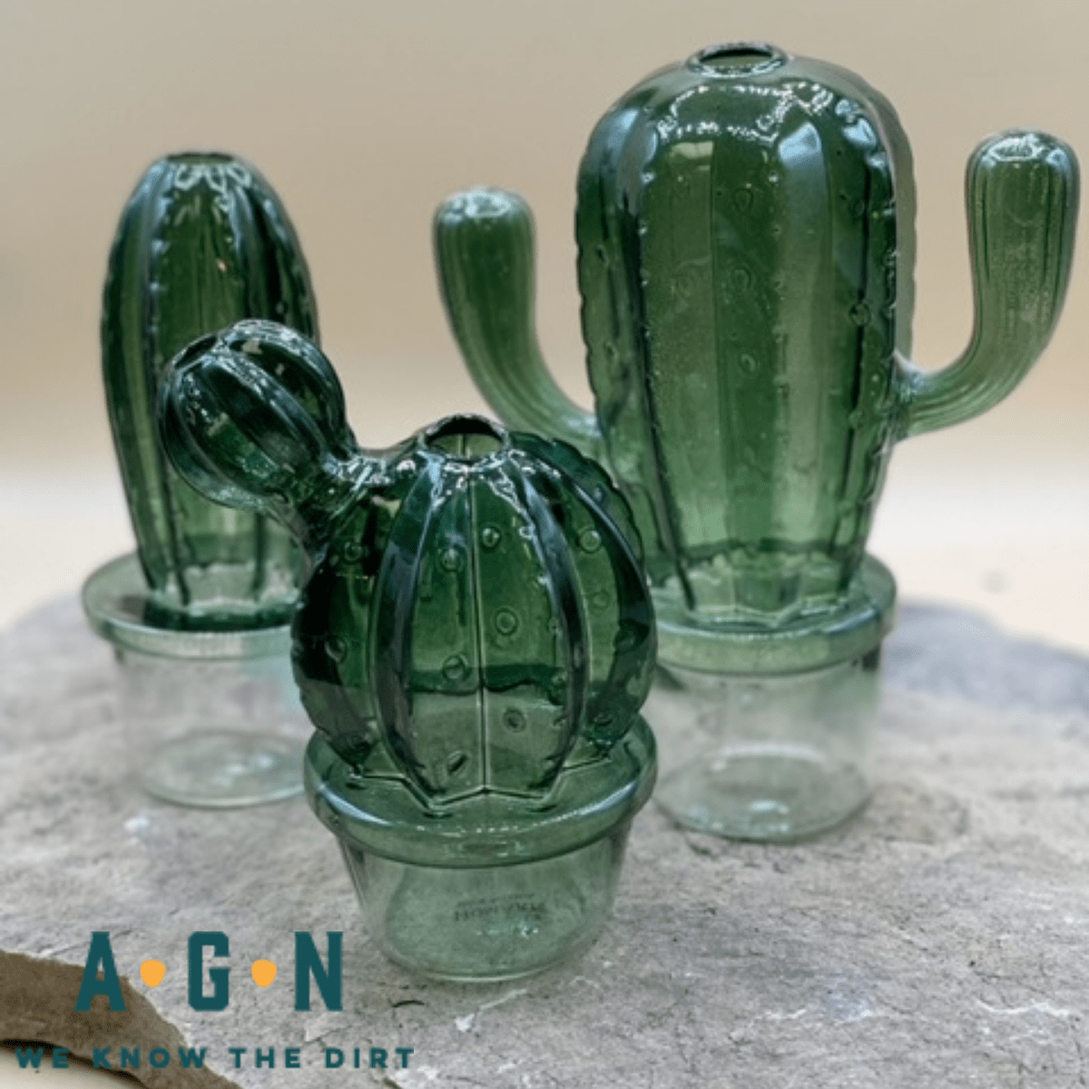 Cactus Vase, Glass - America's Gardens Nursery