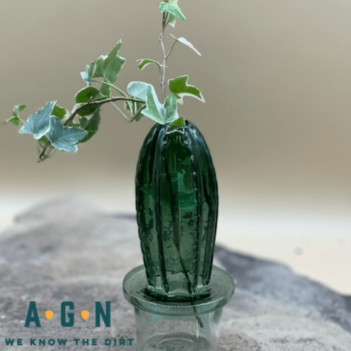 Cactus Vase, Glass - America's Gardens Nursery