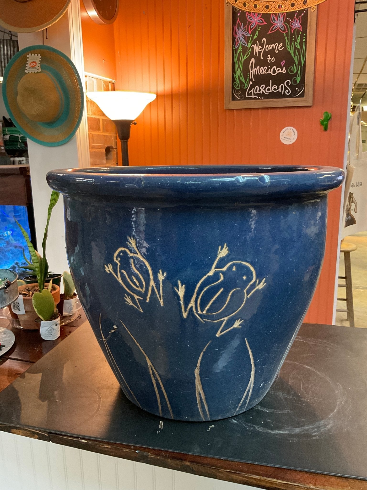 Frog Pot - America's Gardens Nursery