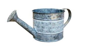 Harmony Pot Watering Can - America's Gardens Nursery