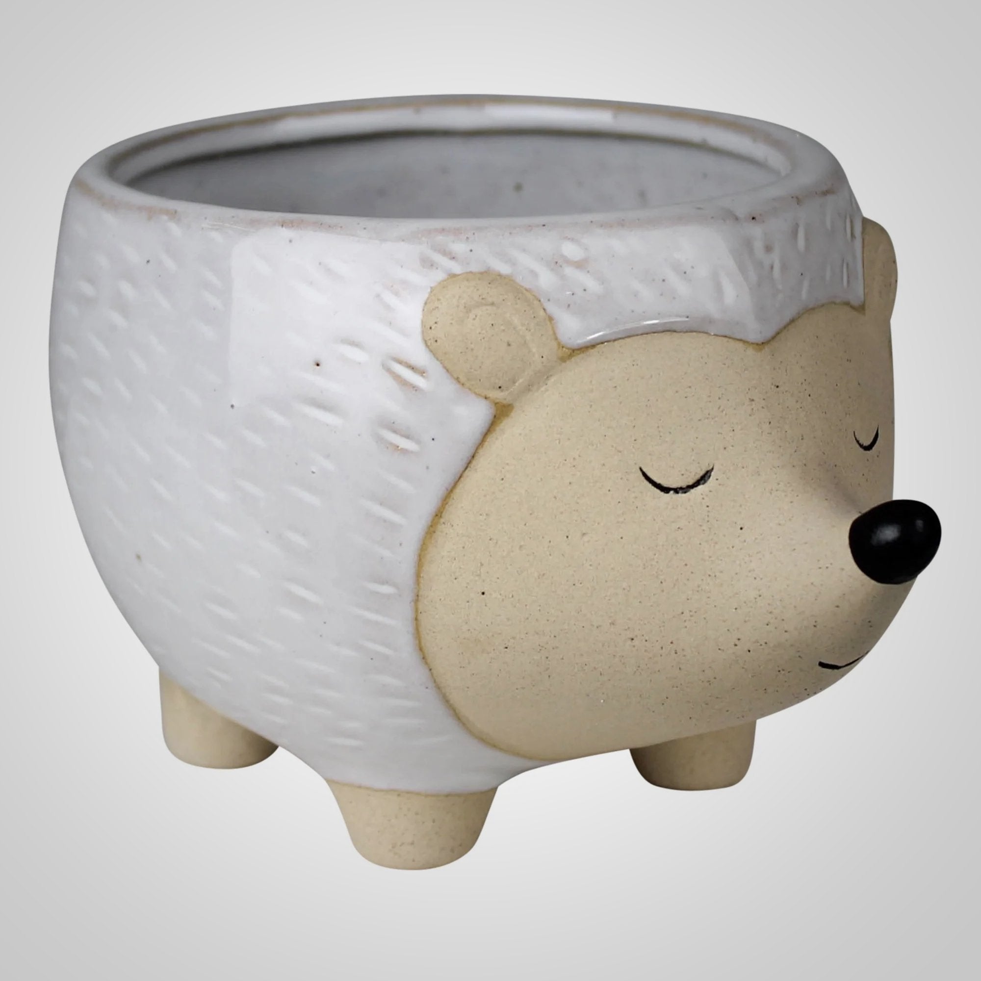 Hedgehog Ceramic Cachepot - America's Gardens Nursery