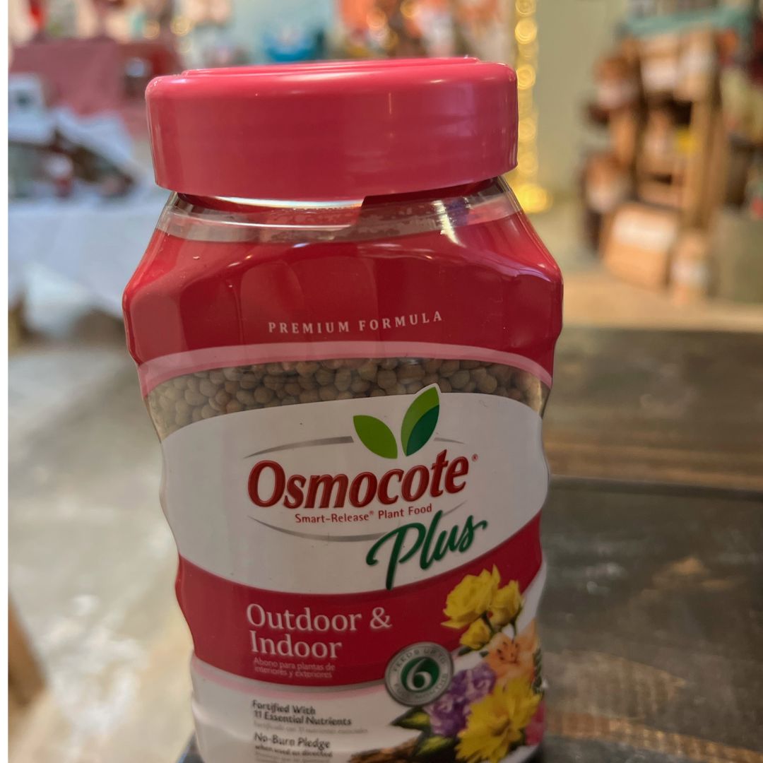 Osmocote Plus Outdoor and Indoor Plant Food - America's Gardens Nursery