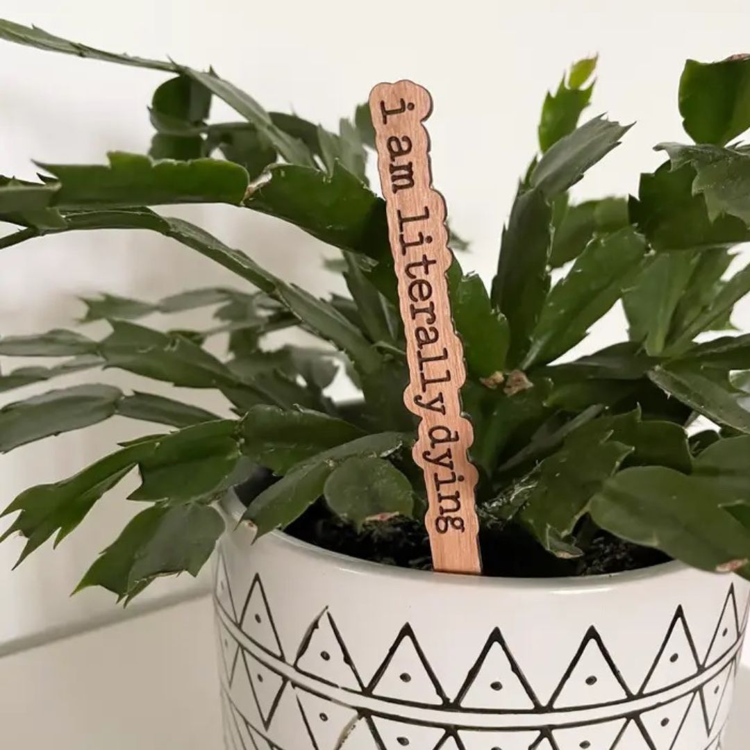 Punny Plant Stakes - America's Gardens Nursery