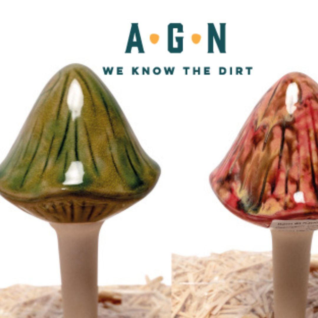 Terra Verde Ceramic Mushrooms - America's Gardens Nursery
